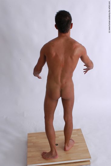 Nude Man White Detailed photos Slim Short Brown Realistic