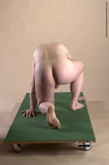 Nude Man White Kneeling poses - ALL Average Long Brown Kneeling poses - on both knees Realistic