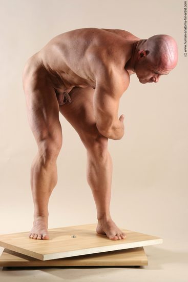 Nude Man White Laying poses - ALL Muscular Short Brown Laying poses - on back Realistic