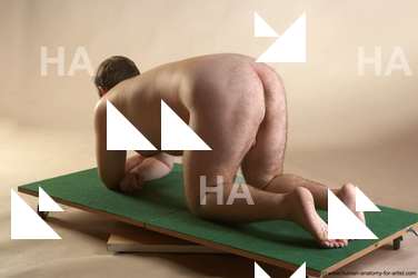 Nude Man White Kneeling poses - ALL Slim Short Brown Kneeling poses - on both knees Realistic