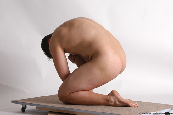 Nude Man White Laying poses - ALL Average Short Brown Laying poses - on back Realistic