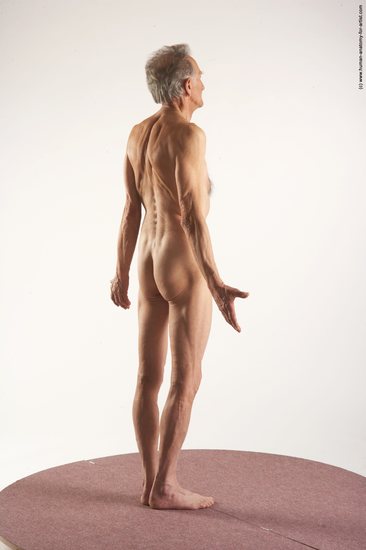 and more Nude Man White Standing poses - ALL Slim Bald Grey Standing poses - simple Realistic