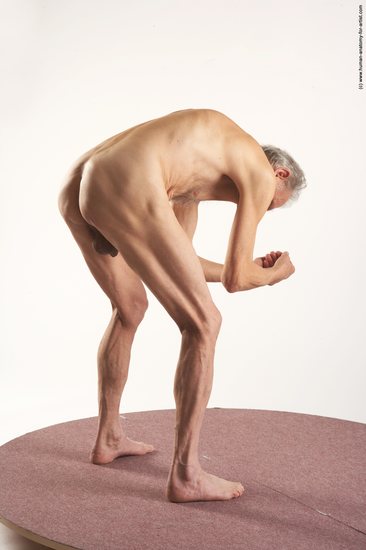 and more Nude Man White Standing poses - ALL Slim Bald Grey Standing poses - bend over Realistic