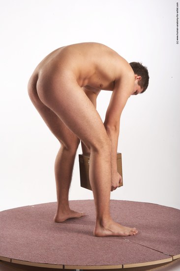 Nude Holding Man White Average Short Brown Sitting poses - ALL Sitting poses - on knees Realistic