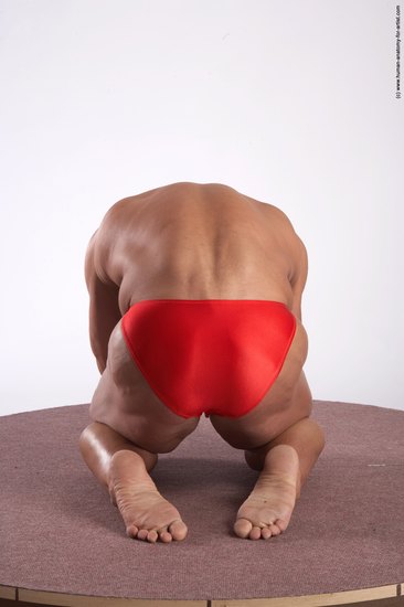 Swimsuit Man White Kneeling poses - ALL Muscular Short Brown Kneeling poses - on both knees Academic