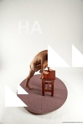 Nude Man White Standing poses - ALL Athletic Short Brown Standing poses - simple Multi angles poses Realistic