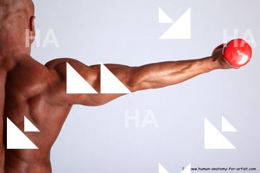 dezider requested 26