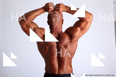 Swimsuit Man White Detailed photos Muscular Short Brown Academic