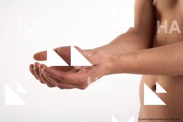 Nude Holding Man White Detailed photos Slim Short Brown Realistic