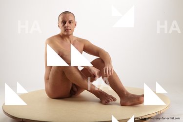 Nude Man White Sitting poses - simple Average Short Brown Sitting poses - ALL Realistic