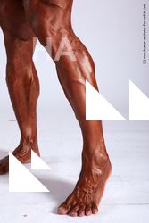 timotej requested 14