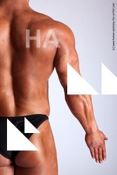 Swimsuit Man White Detailed photos Muscular Bald Academic