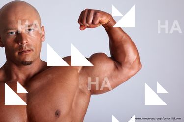 Swimsuit Man White Detailed photos Muscular Bald Academic