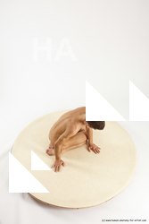 boleslav kneeling 60a