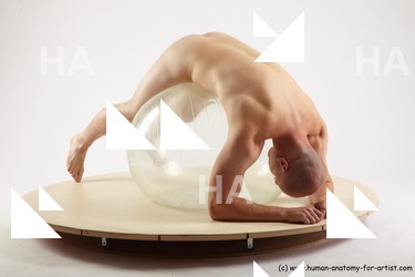 ferdinand requested 06