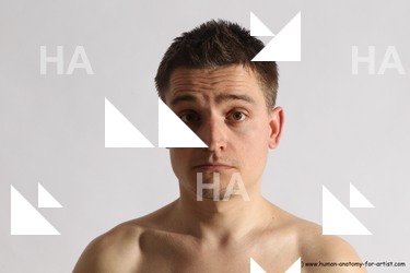 Nude Man White Detailed photos Slim Short Brown Realistic