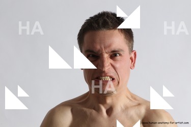 stanley requested 37