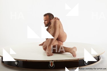 reference of laying radim 03