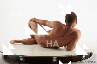 reference of laying radim 06