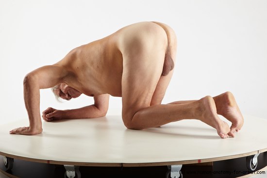 Nude Man White Kneeling poses - ALL Average Short Grey Kneeling poses - on both knees Realistic