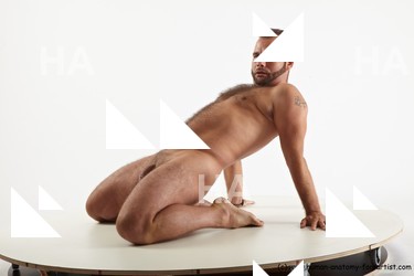 reference of kneeling radim 10