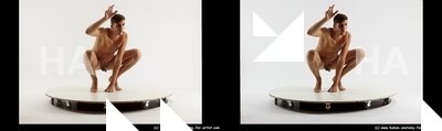 stereoscopic boris 462