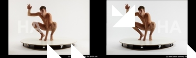 stereoscopic boris 463