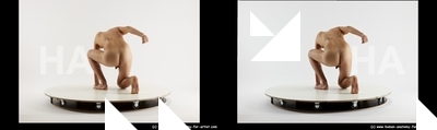 stereoscopic boris 451