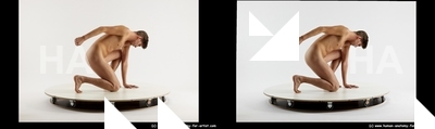 stereoscopic boris 453