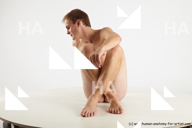 reference of sitting aurel 11