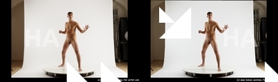 stereoscopic boris 146