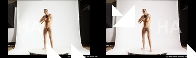 stereoscopic benadik 041