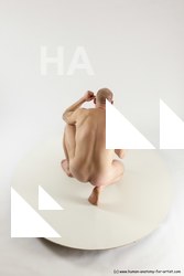Nude Man White Slim Bald Sitting poses - ALL Sitting poses - on knees Multi angles poses Realistic