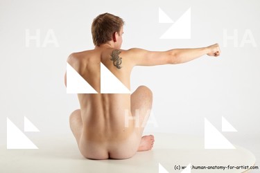 sitting reference of aurel 29