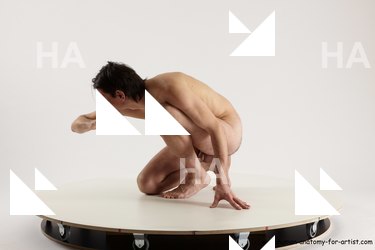 sitting reference of borek 05b