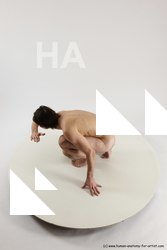 sitting reference of borek 06a