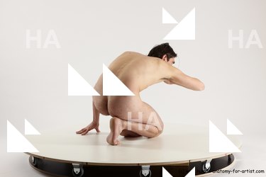 sitting reference of borek 12b