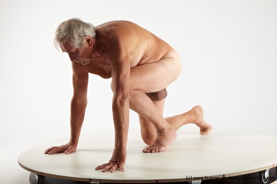 Nude Man White Kneeling poses - ALL Average Short Grey Kneeling poses - on one knee Multi angles poses Realistic