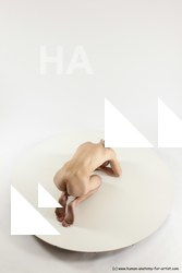 various reference of roland 38a