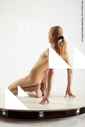 various reference of dominik 12