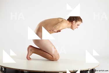 various reference of aurel 15