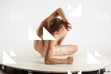 various reference of aurel 23