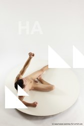 laying reference of roland 14a