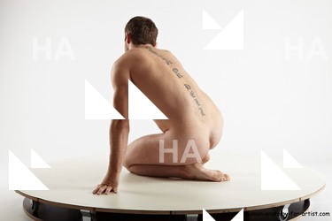 various reference of vendelin 20