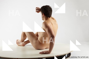 sitting reference of demeter 28