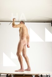 fighting reference of peter 05c