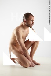 various reference of hubert 24