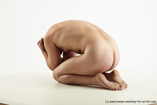 Nude Man White Muscular Long Brown Sitting poses - ALL Sitting poses - on knees Realistic