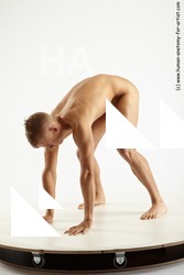 standing reference of andrej 28