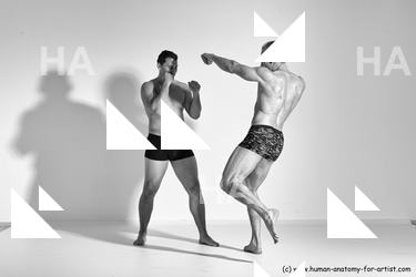 fighting reference 03 06